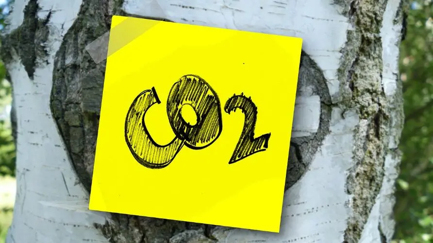 3 formas de reducir emisiones de CO2
