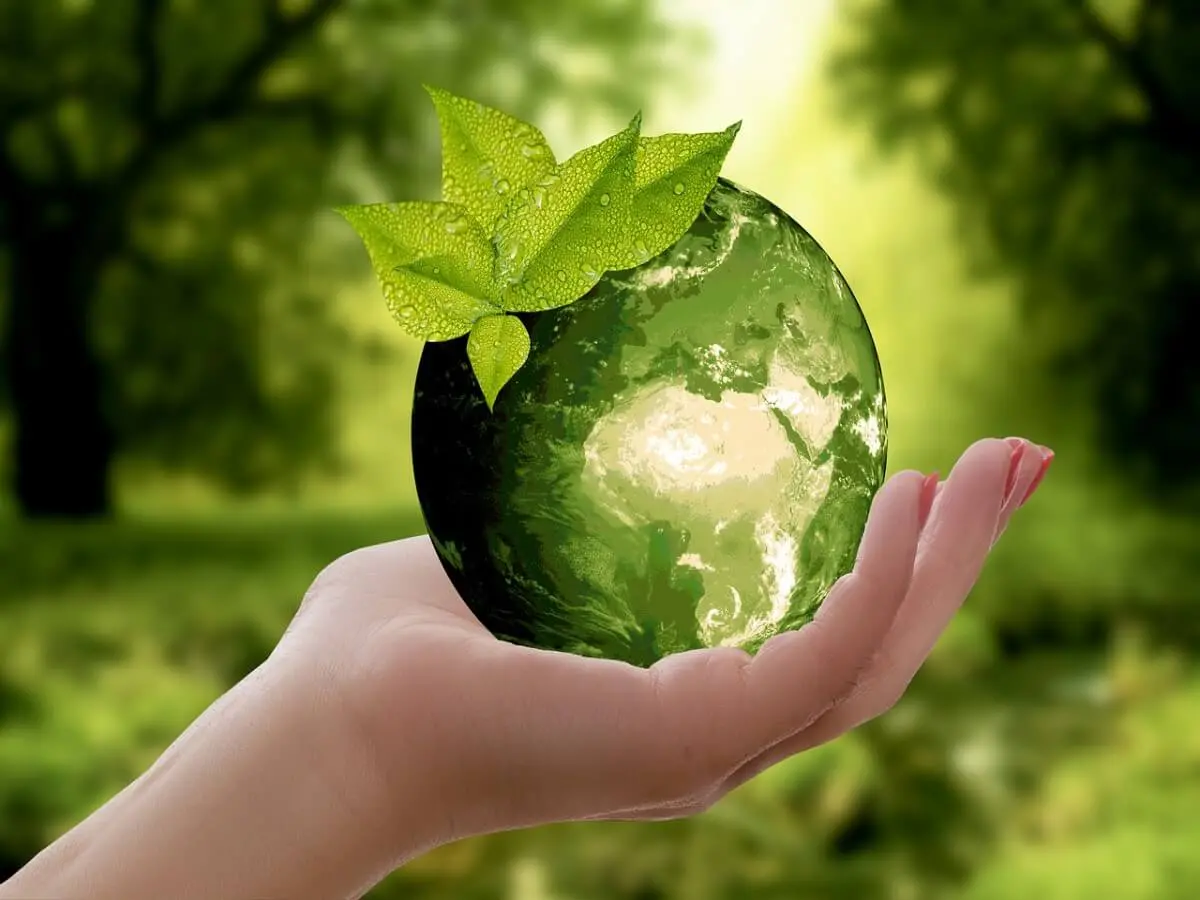 5 productos eco-friendly para cuidar del medioambiente
