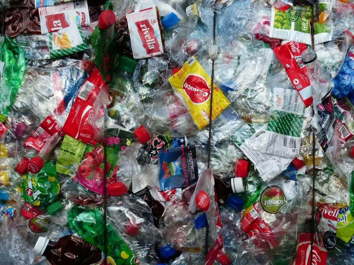 Biotecnología para evitar la contaminación del plástico