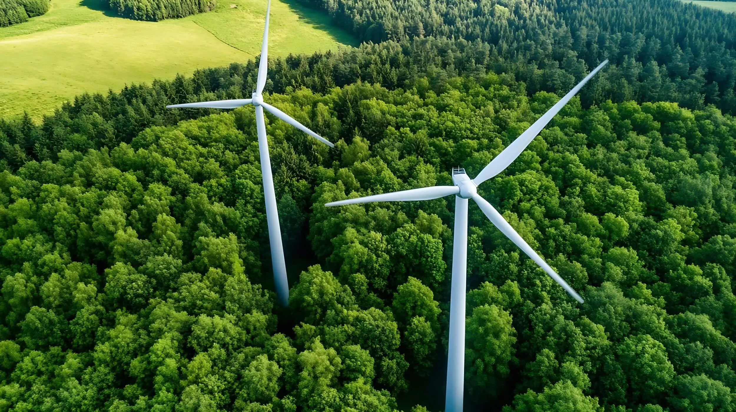 Energía eólica, qué es, cómo se produce y cómo se transporta