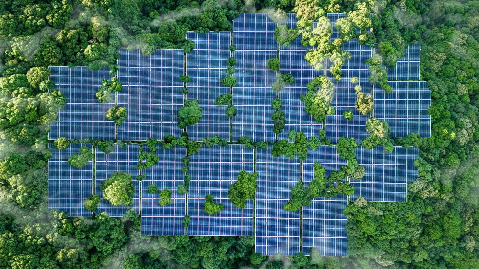 Energías renovables y eficiencia energética todo lo que puede hacer por tu negocio