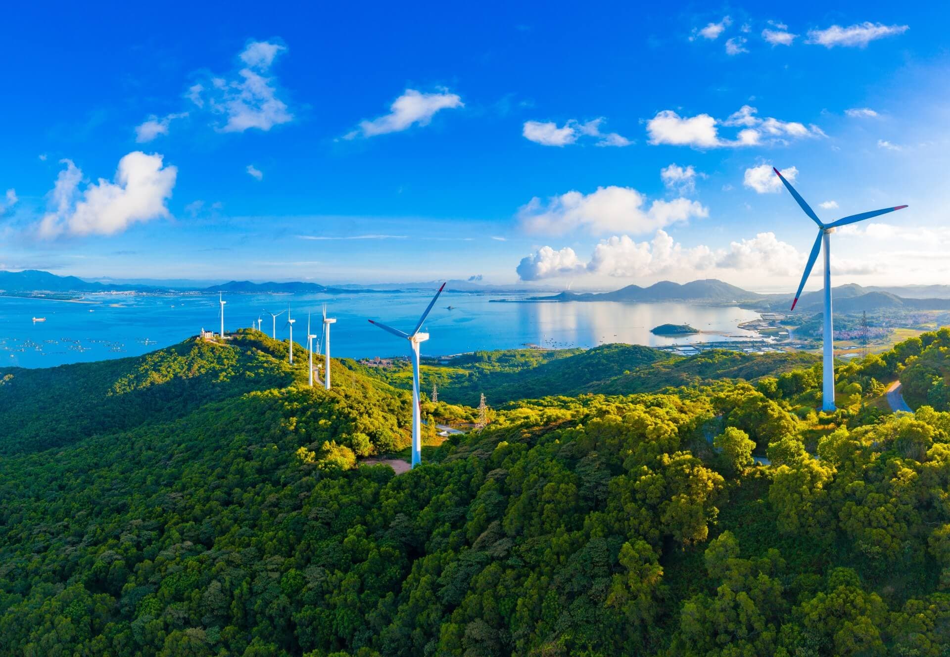 Como a inflacao energetica afeta toda a economia europeia
